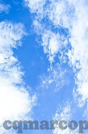 av基地网站麻豆-麻豆——虚拟世界中的真实面孔