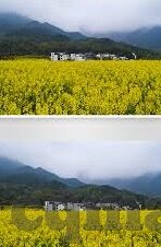 麻豆传媒2021在线观看-麻豆传媒2021，黑胶生活中的光与影