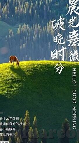 麻豆传煤官网app破解-把握新奇，窥探数字世界的边缘——解析麻豆传煤官网app的多样化镜像