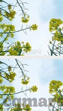 麻豆视频下载的视频-浅析麻豆视频下载，剧情与用户体验的多维度考量