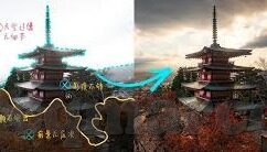 糖心vlog官网入口下载-品味生活每一刻，探访糖心vlog官网与您的专属下载之旅